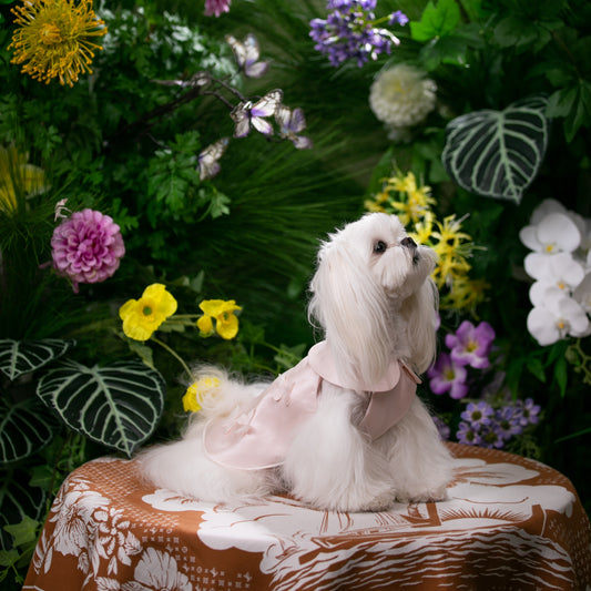 Butterfly Garden Baby-Doll Dress