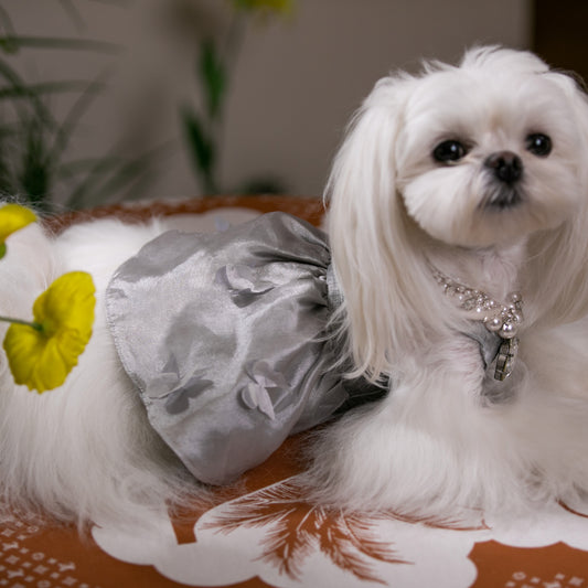 Butterfly Garden Flowing Dress