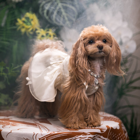 Butterfly Garden Flowing Dress