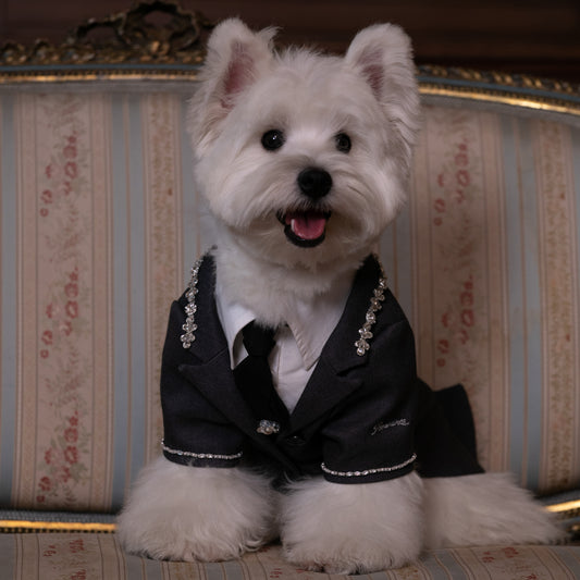 Banquet Business Suit