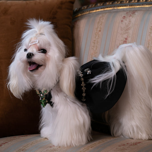 Banquet Diamond dress