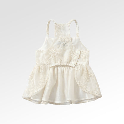 Banquet Lace Dress