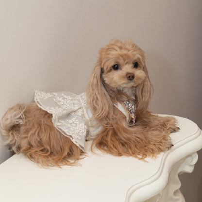 Banquet Lace Dress